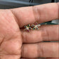 Aretes topos flor en oro laminado 18K antialérgicos con rosca de seguridad. Garantía 12 meses, estuche de regalo incluido. Envío a toda Colombia.